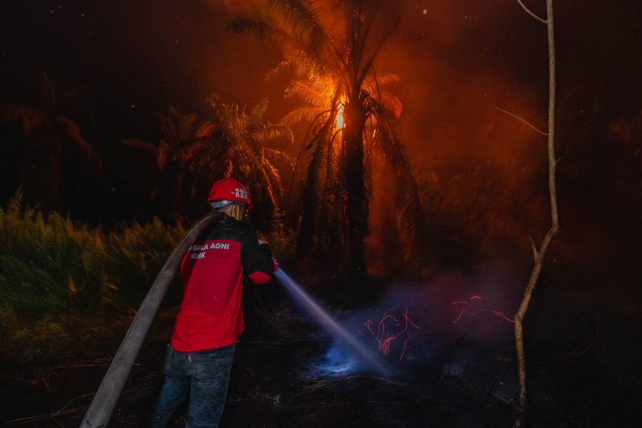 Vészhelyzetben a Föld! borítókép