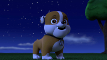 jelenet