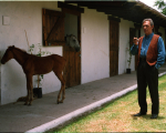jelenet